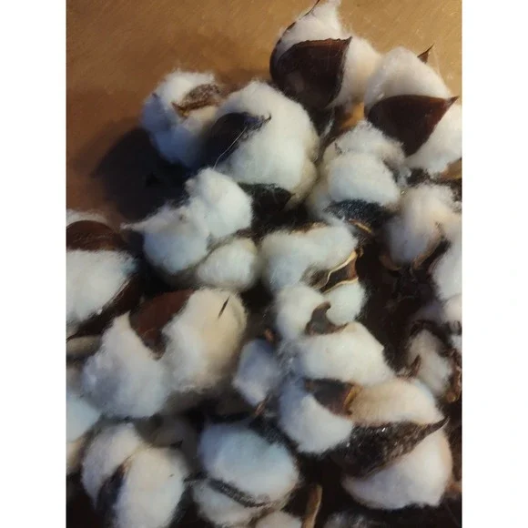 Real Cotton Balls Decor 40+ Pieces For Wreath Decor Cotton Bolls Balls‎ Natural - Picture 5 of 7
